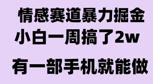 情感暴力掘金项目，新人操作一周挣了2W，长期稳定小白可做【揭秘】-第一资源网
