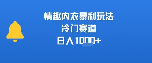 情趣内衣暴利玩法，冷门赛道，日入1k+-第一资源网
