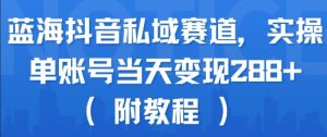 蓝海抖音私域赛道，实操单账号当天变现288+(附教程)-第一资源网