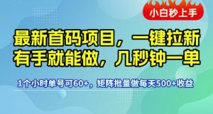 最新首码项目,一键拉新有手就能做,几秒钟一单,1个小时单号可60+,矩阵批量做每天5张【揭秘】-第一资源网