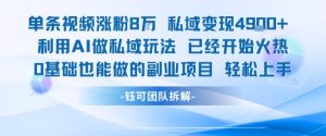 单条视频私域变现4.9k+利用AI做私域玩法 已经开始火热0基础也能做的副业项目轻松上手-第一资源网