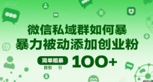 微信私域群如何暴力被动添加创业粉,简单粗暴,日引100+-第一资源网