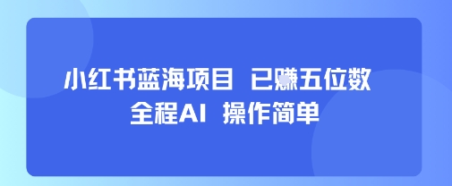 小红书蓝海项目，全程AI，操作简单，已挣五位数-第一资源网