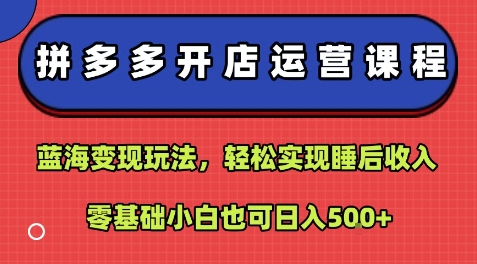 拼多多开店运营课程：蓝海变现玩法，轻松实现睡后收入，零基础小白也可日入5张-第一资源网