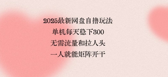 2025最新网盘自撸玩法，单机每天稳下3张，无需流量和拉人头，一个人就可轻松矩阵，全网独一份【揭秘】-第一资源网