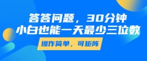 答答问题,30分钟,小白也能一天最少也有三位数,操作简单-第一资源网