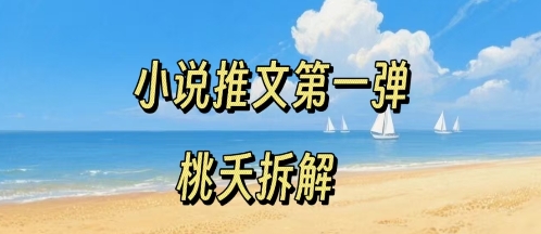小说推文项目操作全流程第一弹，0粉就能做，门槛低非常适合新手-第一资源网