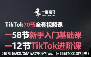 TikTok全套视频课，新手入门+进阶课，短视频ADS-GMV MAX投流打品，日销破1000单打法-第一资源网