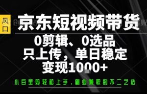 你出账号,我来运营,保底日入1k+,开启躺賺模式【揭秘】-第一资源网