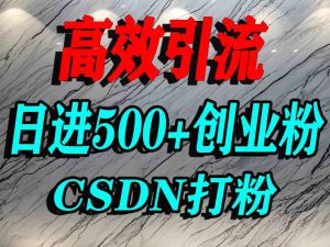 怎么打创业粉?CSDN又一个你不知道的打粉引流神秘平台,单人日引500+精准流量-第一资源网