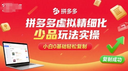 拼多多虚拟精细化少品玩法实操，小白0基础轻松复制-第一资源网