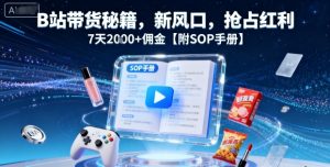 B站带货秘籍,新风口,抢占红利,7天2k+佣金【附SOP手册】-第一资源网