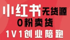 小红书无货源0粉电商课，开店准备、选品策略、笔记撰写、视频剪辑、数据分析、账号打造、资料文档-第一资源网