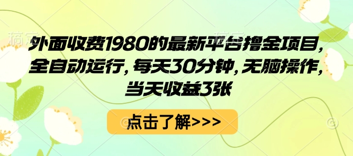 外面收费1980的最新平台撸金项目，全自动运行，每天30分钟，无脑操作，当天收益3张【揭秘】-第一资源网