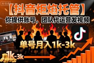 【抖音炬焰托管】你提供账号，团队代运营发视频，单号月入1k+【揭秘】-第一资源网