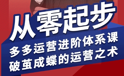 拼多多运营进阶系统课，从零起步，多多运营进阶体系课，破茧成蝶的运营之术（更新9月）-第一资源网