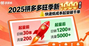 2025拼多多旺季新老店铺——快速低成本起量破千单-第一资源网