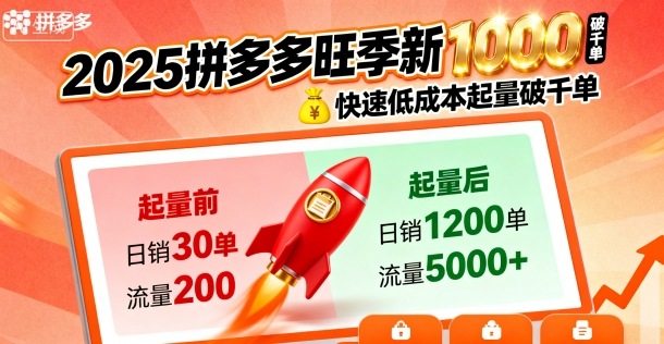 2025拼多多旺季新老店铺——快速低成本起量破千单-第一资源网