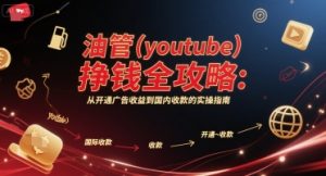 油管(youtube)挣钱全攻略:从开通广告收益到国内收款的实操指南(更新)-第一资源网