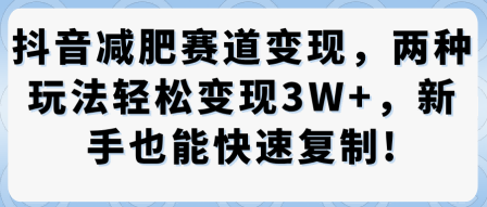 抖音减肥赛道变现，两种玩法轻松变现3W+，新手也能快速复制-第一资源网