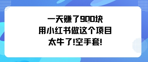 一天挣了9张用小红书做这个项目太牛了，空手套-第一资源网