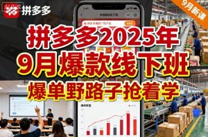 拼多多2025年9月爆款线下班,爆单野路子抢着学-第一资源网