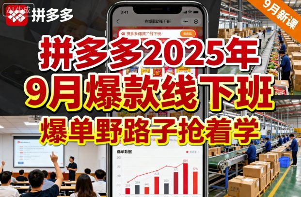 拼多多2025年9月爆款线下班，爆单野路子抢着学-第一资源网