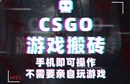 CSGO游戏挂G捡漏，单日扫货5张+，年底小高峰上车可吃肉，手机即可操作，兼职副业创业网创【揭秘】-第一资源网